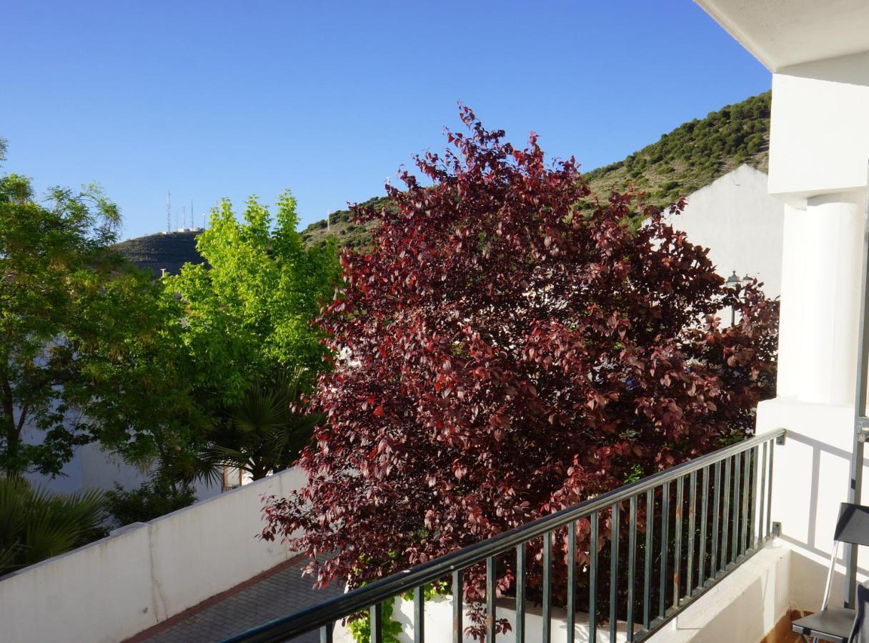 Cute And Relaxing Bed And Breakfast En Albayzin Granada Esterno foto